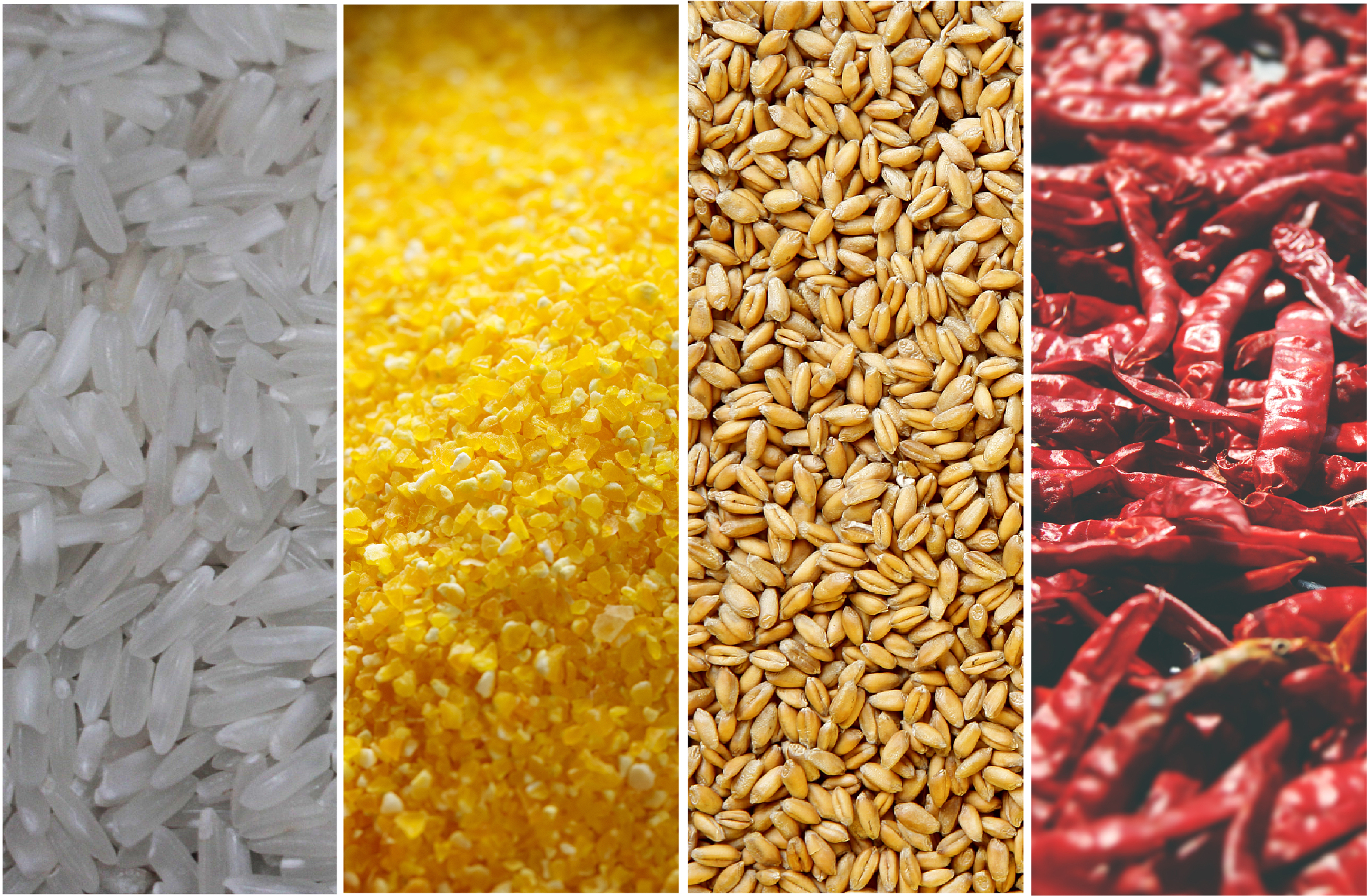 格瑞德曼高速旋转粉碎仪-01