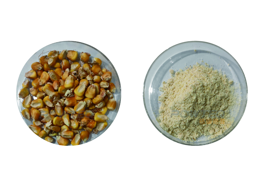 研磨前后对比_画板 1