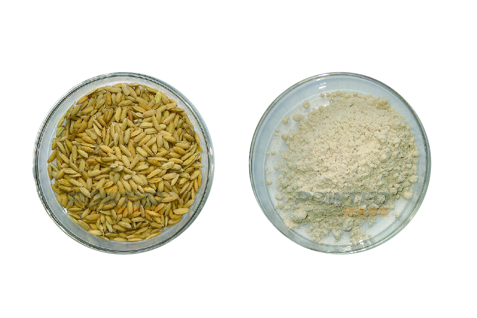 旋风磨TW200-研磨前后对比_画板 1