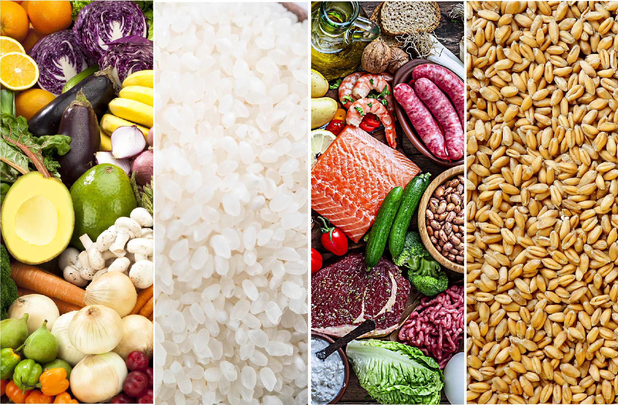 格瑞德曼超离心研磨仪FM200-03-01