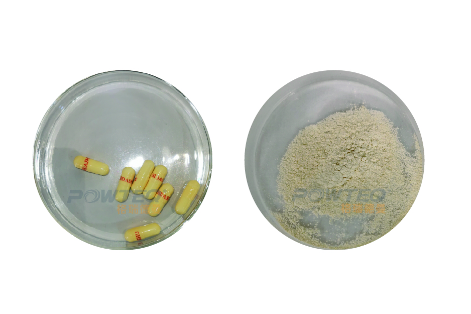 超离心研磨仪FM200-胶囊前后对比_画板 1