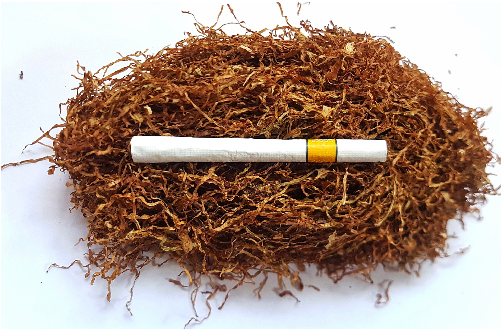 格瑞德曼烟草制品的粉碎研磨仪-01