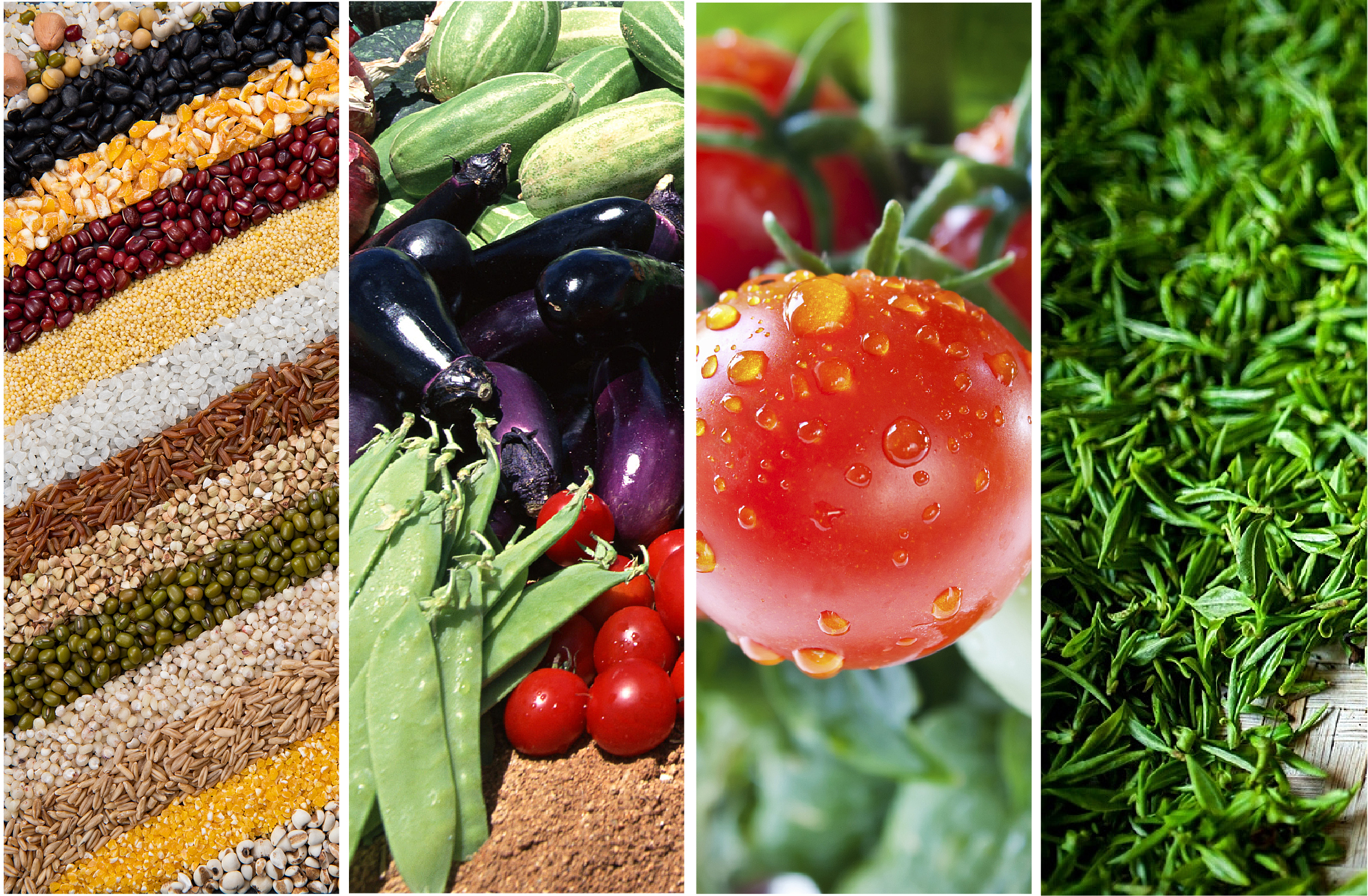 格瑞德曼刀式研磨仪-01